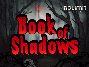Book Of Shadows game icon